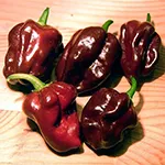 Pepper_Hot_Chocolate Habanero_flidkr