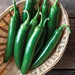 Pepper_Hot_Serrano Santo Domingo_Johnny_s Selected Seeds johnnyseeds_com