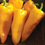 Pepper_Sweet_Escamillo_Johnny_s Selected Seeds_ johnnyseeds_com