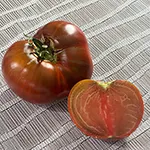 Tomato_Beefsteak_Chef_s Choice Black_UCMG of CCC