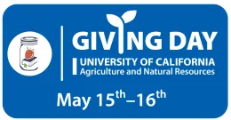 donation link 
