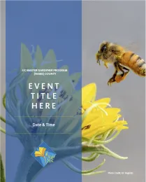 Event promotion graphic