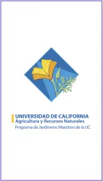 Spanish Video Logo