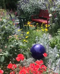 small garden