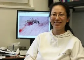 Yoosook Lee