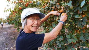Select fruits you and your family enjoy for years of satisfying harvests. Courtesy UC Regents
