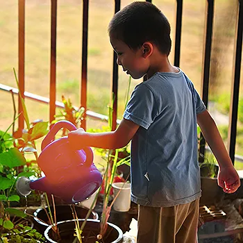 gardening
