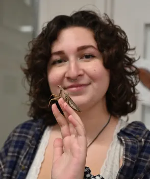 UC Davis senior Sol Wantz, president of the UC Davis Entomology Club, showed this European mantis, a non-native mantis, that she collected on campus. (Photo by Kathy Keatley Garvey)