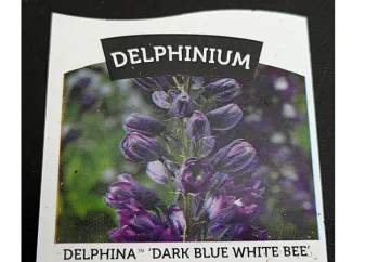 A plant label for a Delphinium plant