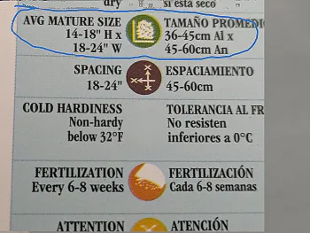 A plant label with the mature size information highlighted
