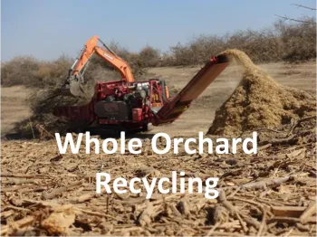 Whole orchard recycling