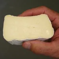 cheese