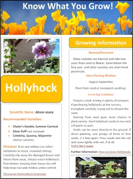 Sample Flower Fact Sheet Image