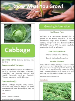 Sample Fruit&Vegetable Fact Sheet Image
