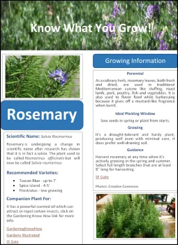Sample Herb Fact Sheet Image