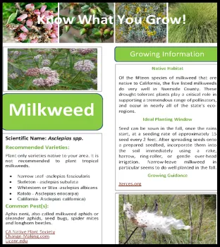 Sample Native Plant Fact Sheet Image