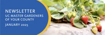 Email header template