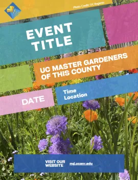 Event promotion graphic template
