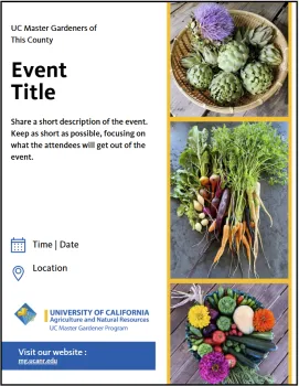 Event promotion graphic template