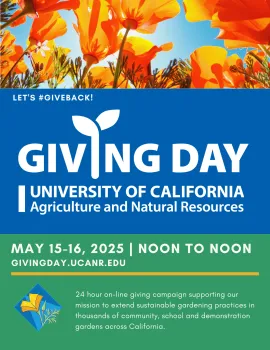 flyer for Giving Day May 15-16