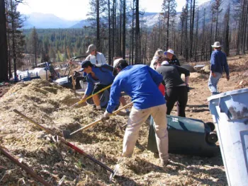 An image of erosion mitigation efforts by a group of people.