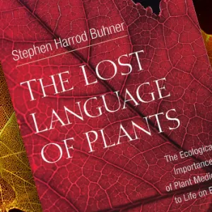 Cover for the book