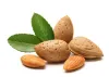 Almond