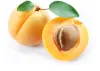 Apricot
