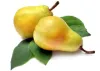 European Pear