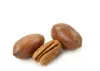 Pecan