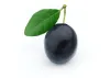 Prune