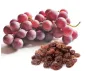 Table Grapes & Raisins