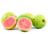 Guava
