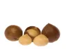 Macadamia